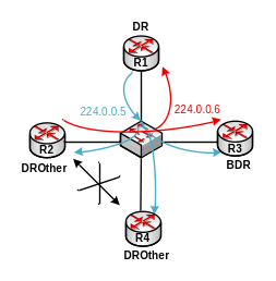 Bài 12 : Giao thức định tuyến OSPF 7 Hoạt động trao đổi thông tin thông qua DR