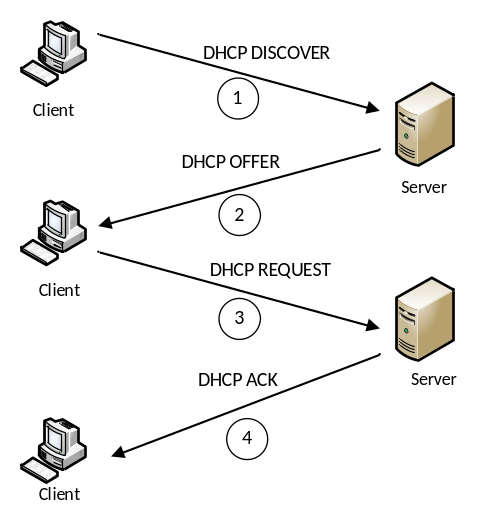 Hình 2 - Hoạt động cơ bản của DHCP