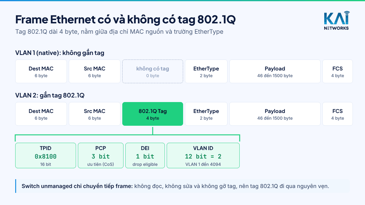 Switch Unmanaged Có Hiểu VLAN Tag 802.1Q Không? Lab Thực Tế (Kiến Thức CCNA) 2 Cấu trúc frame Ethernet có và không có VLAN tag 802.1Q với các trường TPID, PCP, DEI và VLAN ID