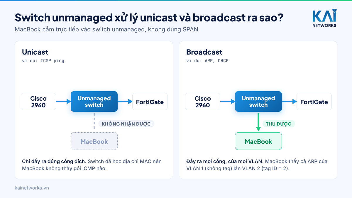 Switch Unmanaged Có Hiểu VLAN Tag 802.1Q Không? Lab Thực Tế (Kiến Thức CCNA) 3 Switch unmanaged xử lý unicast và broadcast: unicast chỉ đến đúng cổng, broadcast bị đẩy ra mọi cổng của mọi VLAN